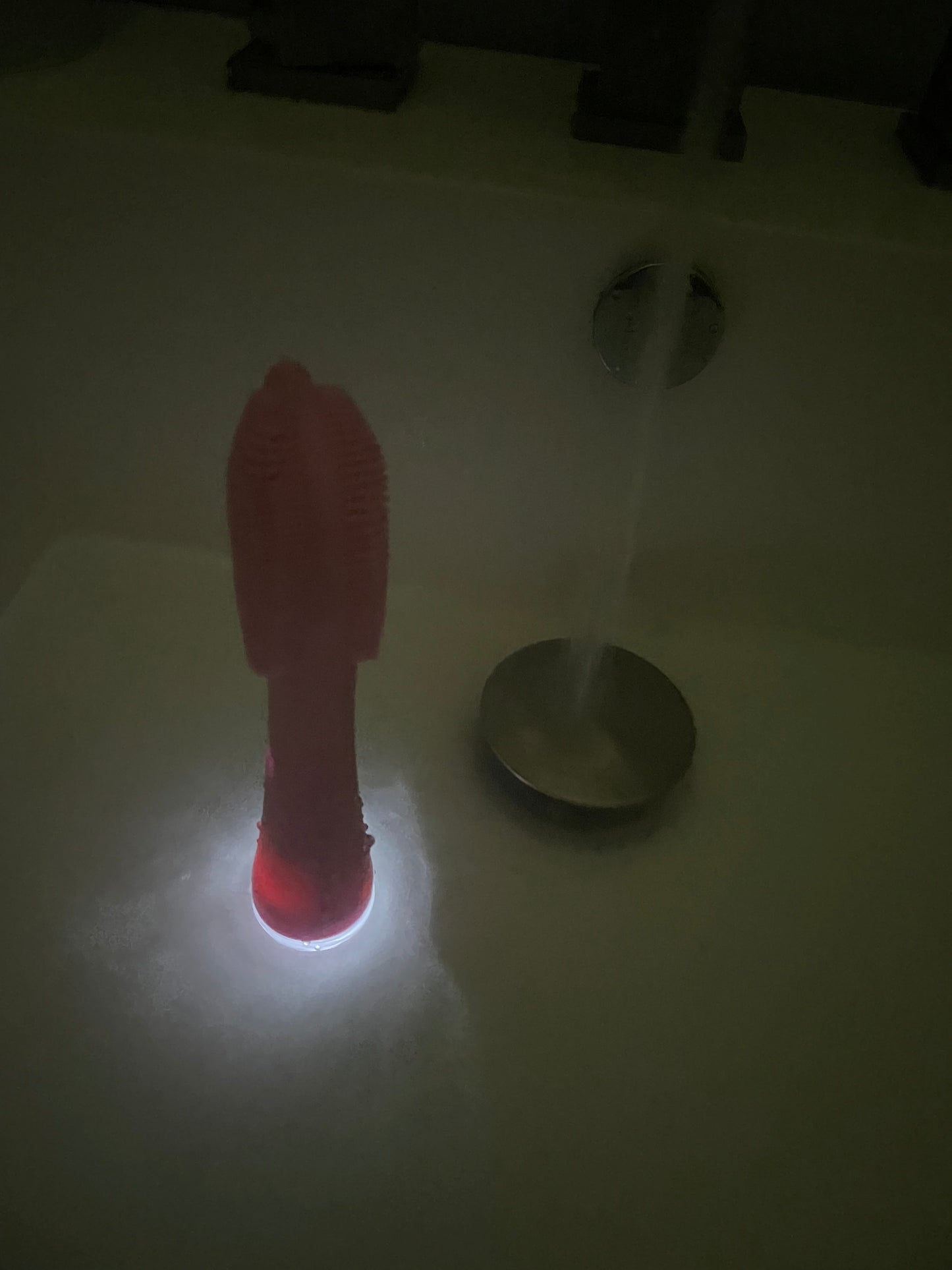 sonic silicone facial brush